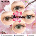 Blincon Blossom Blue