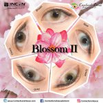 Blincon Blossom II Choco